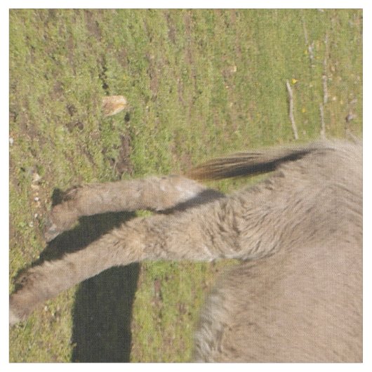 Esel- und Kuhgewebe Stoff (Nahaufnahme)