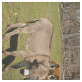 Esel- und Kuhgewebe Stoff (Muster)