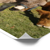 Esel- und Kuhposter Poster (Ecke)