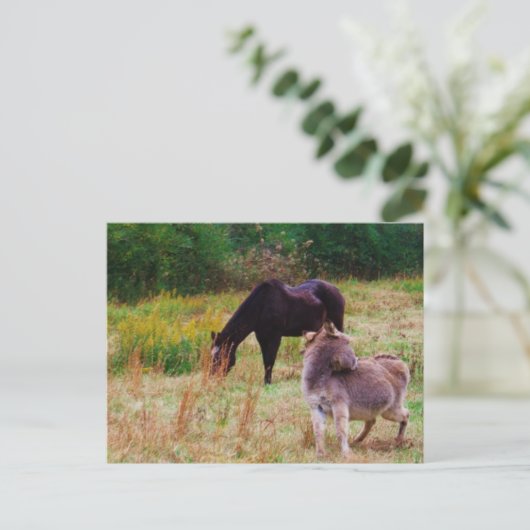 Esel und Pferd in einem Herbstfeld. Postkarte (Stehend Vorderseite)