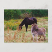 Esel und Pferd in einem Herbstfeld. Postkarte (Vorderseite)
