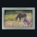 Esel und Pferd in einem Herbstfeld. Rechteckige Gürtelschnalle<br><div class="desc">Esel und Pferd in einem Herbstfeld. Foto von Sandy Closs. Donkey Herbst,  Herbst,  Bauernhof " Nutztiere"Esel,  Burro,  "niedlicher Esel",  Maultier,  Jackass</div>