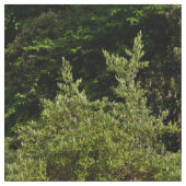 Esel unter dem Baum Stoff (Nahaufnahme)