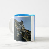 Esel Zweifarbige Tasse (Vorderseite Links)
