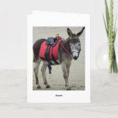 Eselfahrt auf eine Strandkarte Karte (Rückseite)