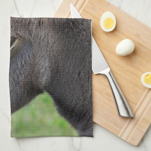 Eselfohlen Geschirrtuch (Viertel Falte)