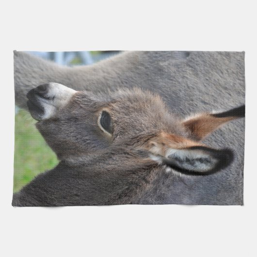 Eselfohlen Geschirrtuch (Horizontal)