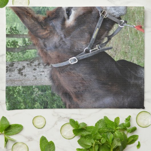 Eselfreunde Geschirrtuch (Gefaltet)