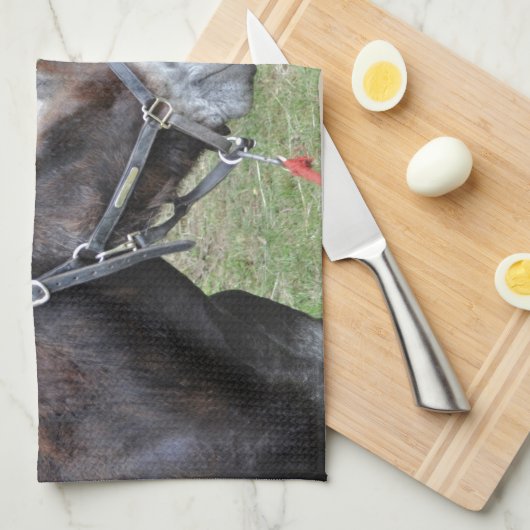 Eselfreunde Geschirrtuch (Viertel Falte)