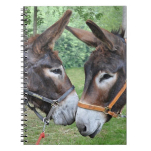 Eselfreunde Notizblock