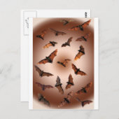 Eselige Obstbäume (Fliegenfüchse) Postkarte (Vorne/Hinten)