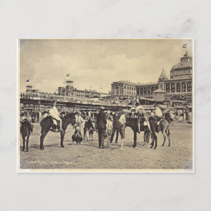 Eselritte, Scheveningen 1906 Postkarte