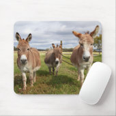 Esels drei mousepad (Mit Mouse)