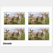 Esels drei rechteckiger aufkleber (Blatt)