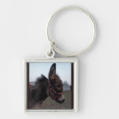 Eselschlüsselring Schlüsselanhänger (Vorne)