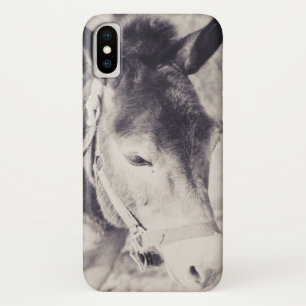 Eselskopf 001 Case-Mate iPhone hülle
