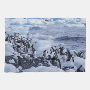 Eselspenguin Pygoscelis adeliae Handtuch