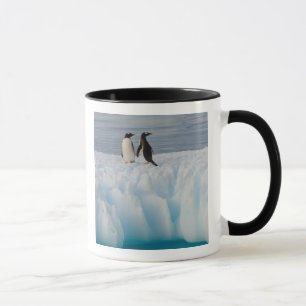 Eselspinguin, Pygoscelis Papua, auf Gletschereis Tasse
