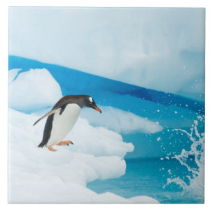 Eselspinguin, Pygoscelis Papua, springt ab Fliese