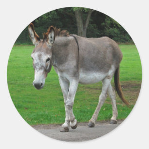 Eselsticker Runder Aufkleber
