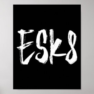 Esk8 - Elektrisches Skateboarding Poster