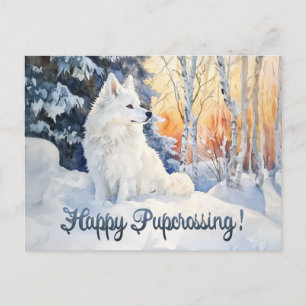 Eskie Postcross 1 - Postkarte