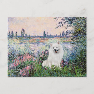 Eskimo Spitz 1 - An der Seine Postkarte