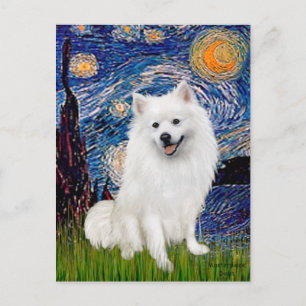 Eskimo Spitz 1 - Sternennacht (Vert) Postkarte
