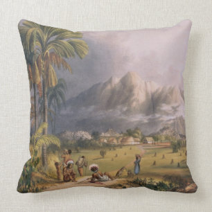 Esmeralda, auf dem Orinoco, Standort von einem Kissen