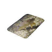 Esox lucius badematte (Schrägansicht)