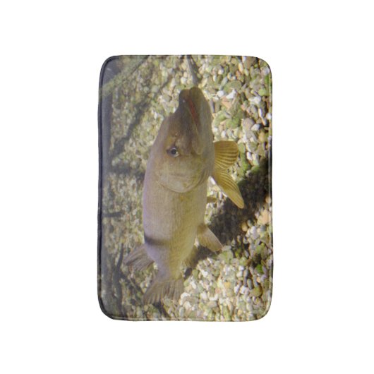 Esox lucius badematte (Vorderseite Vertikal)