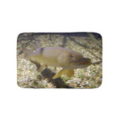 Esox lucius badematte (Vorderseite)