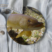 Esox lucius button (Beispiel)