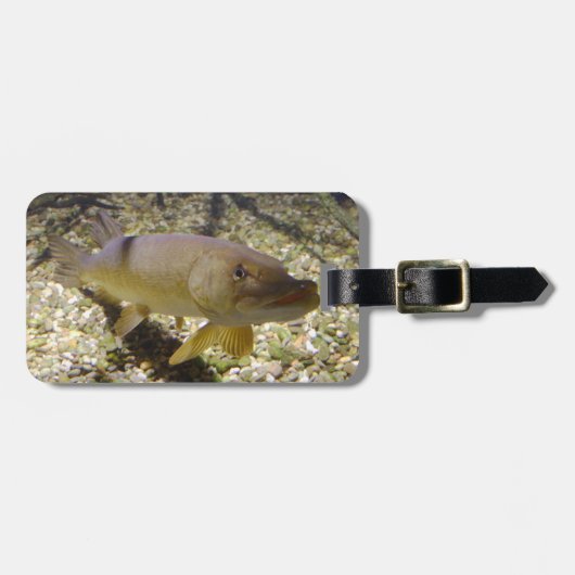 Esox lucius gepäckanhänger (Vorderseite horizontal)