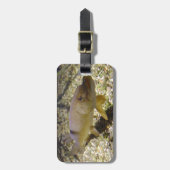 Esox lucius gepäckanhänger (Vorderseite vertikal)