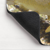 Esox lucius mousepad (Ecke)