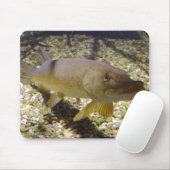 Esox lucius mousepad (Mit Mouse)