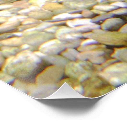 Esox lucius poster (Ecke)