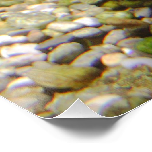 Esox lucius poster (Ecke)