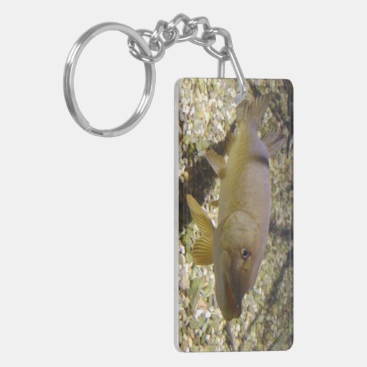 Esox lucius schlüsselanhänger (Vorderseite links)