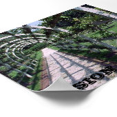 Espalier Apple Tree - Vision Poster (Ecke)