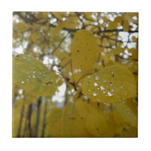 Espen-Blätter Fliese