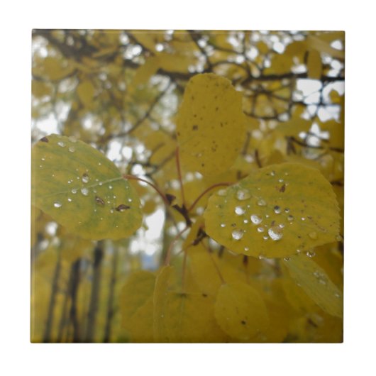 Espen-Blätter Fliese (Vorderseite)