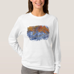 Espen im Herbst, Bighorn Mountains, T-Shirt