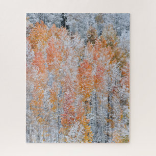 Espen & Schnee Rocky Mountains, Colorado Puzzle