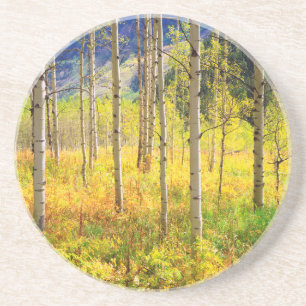 Espenbäume im Herbst in den Rocky Mountains Untersetzer