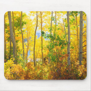Espenbäume im Herbst Sierra Nevada Mountains, CA Mousepad
