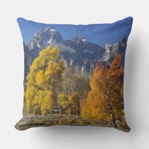 Espenbäume mit der Teton-Gebirgskette Kissen