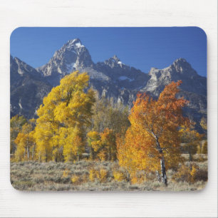 Espenbäume mit der Teton-Gebirgskette Mousepad