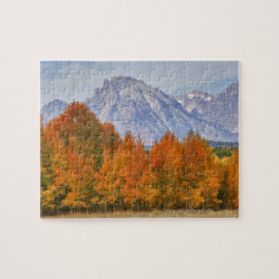 Espenbäume mit der Teton-Gebirgskette Puzzle